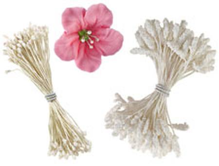 Buy Stamen, Flower assortment in NZ. 